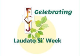 celebrating laudato si week