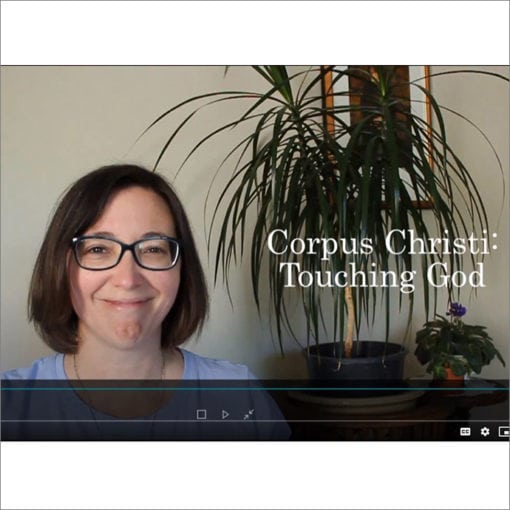 Video Corpus Christi for Middle School Students
