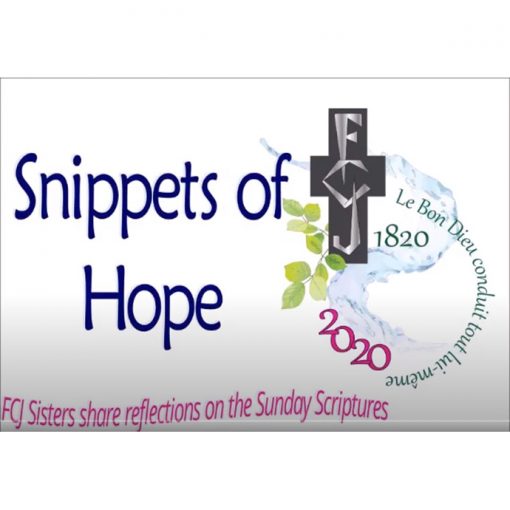 Snippets of Hope: Scripture reflections