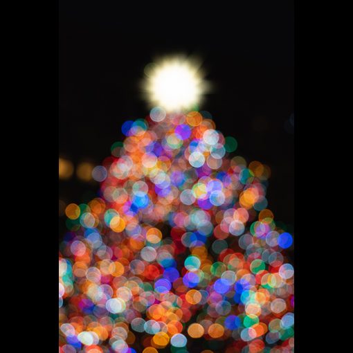 Christmas Lights Sonder Quest at Unsplash
