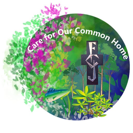 Care for Our Common Home - Faithful Companions of Jesus