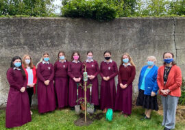 Laudato Si’ Week in our Limerick Schools