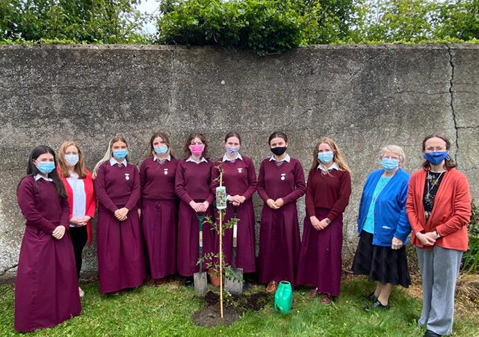 Laudato Si’ Week in our Limerick Schools
