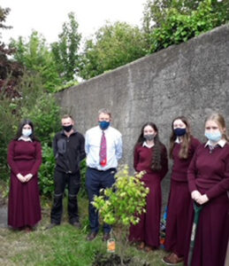 Laudato Si’ Week in our Limerick Schools