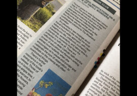 Blessed, by Ann Renie