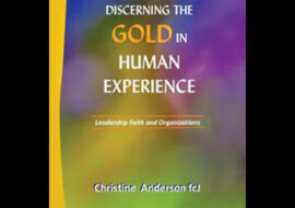 Book cover: Discerning gold in human experience