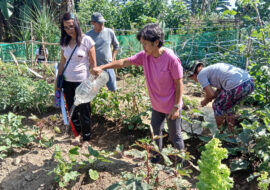 Gardeners at work at FCJ Centre Community Garden