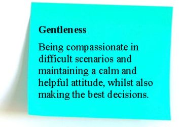 FCJ Values in Education: Gentleness